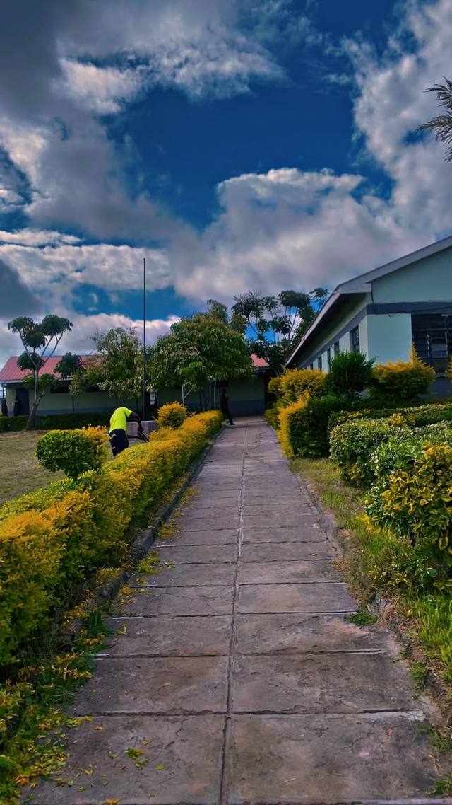 A paved walkway between hedges leading to classroom blocks