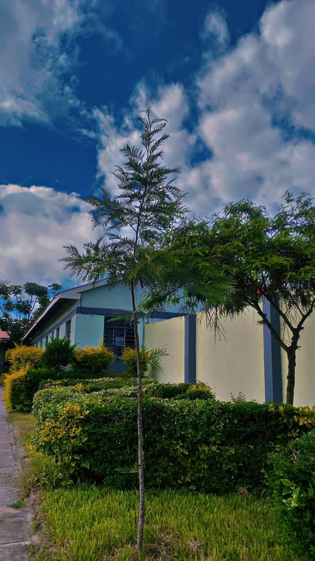 Hedges and trees beside a school building under a blue sky